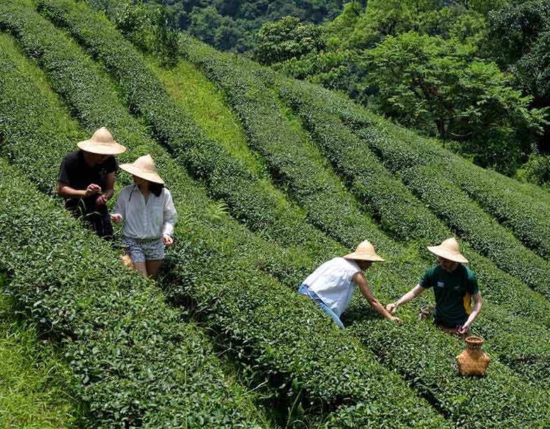 NEW: Rural & slow travel tours